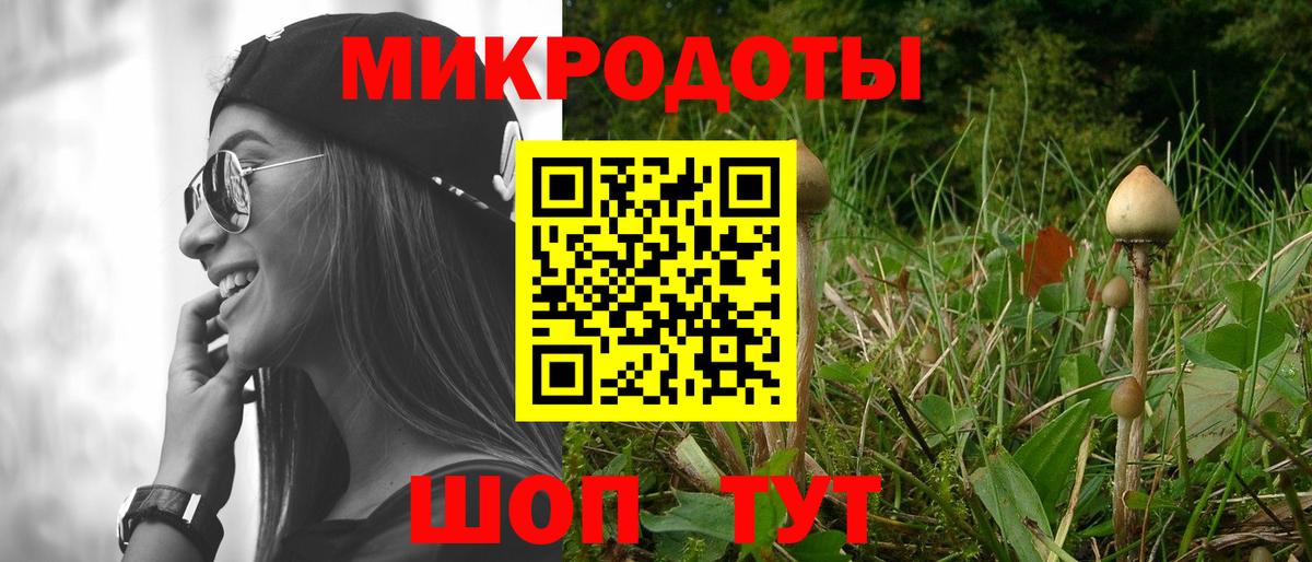 Псилоцибиновые грибы мицелий Вязники