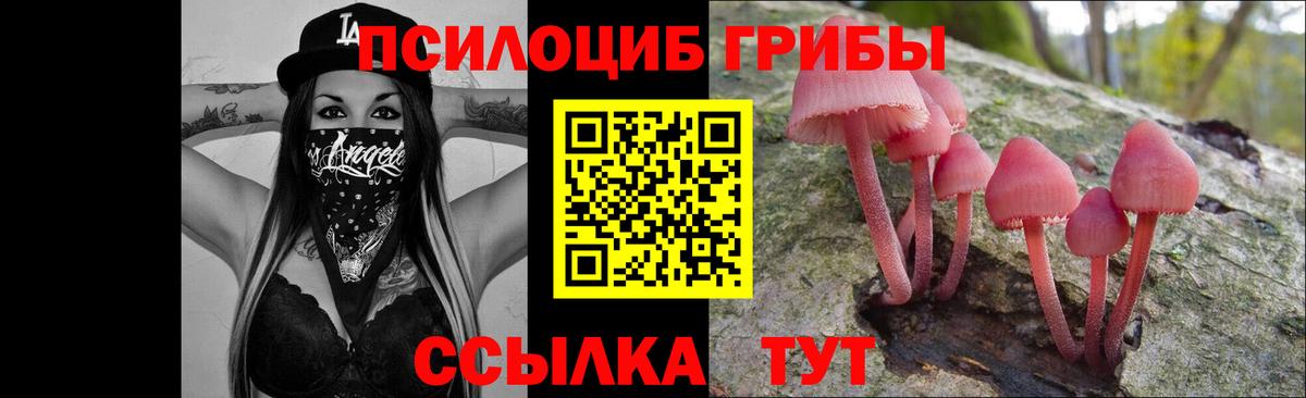 Галлюциногенные грибы ЛСД  Вход с VPN  Вязники 